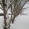 la grande nevicata del febbraio 2012 144